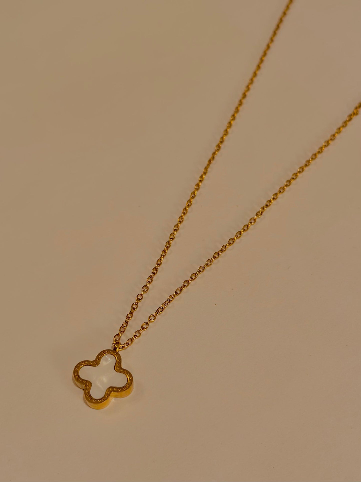 2 in 1 Clover Pendant 🖤